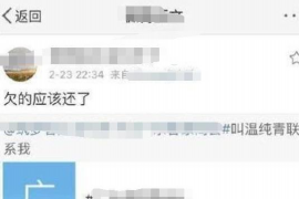 长葛为什么选择专业追讨公司来处理您的债务纠纷？